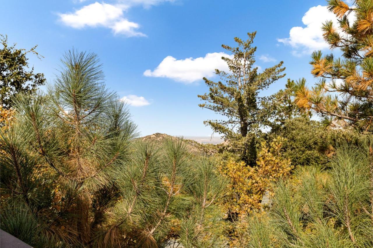 לייק ארוהד Ev Level 2, Pets Welcome At Sunset Ridge מראה חיצוני תמונה